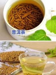 软化血管更好的茶叶-软化血管更好的茶叶是什么茶