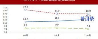 普洱茶最新趋势：深度分析与走势预测