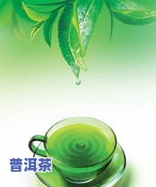 在水里立起来的茶叶是什么品种？它能站立的原因是什么？