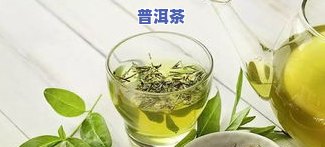 去除体内湿气的茶叶：种类、功效及推荐品种