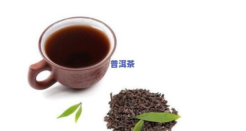 普洱茶养脾胃吗？功效与正确饮用方法解析