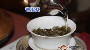 普洱茶粒的冲泡方法与技巧