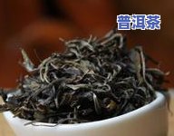 澜沧普洱茶的香气特点是-澜沧普洱茶的香气特点是什么