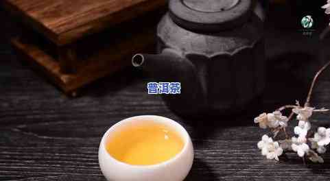 探索普洱茶变化：从制作到陈化的过程与历史，一图读懂普洱茶的变化之美