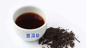 90年代普洱茶真假图片大全及价值解析