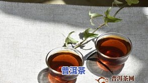 大忠山古树普洱茶特点：口感醇厚，历史悠久，价格适中，是品茶佳选。