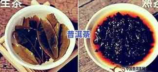 普洱新茶与旧茶的比较：哪种更好？