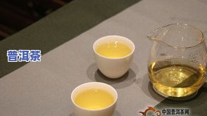 普洱茶初泡技巧：如何泡出好喝又香的茶汤？