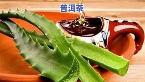 蒸普洱茶放多少陈皮：更佳比例与时间解析