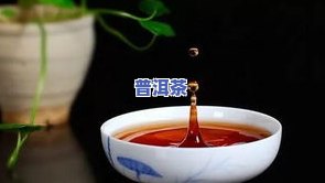 普洱茶：茶人的终极归宿，最后一站与茶客永恒的记忆