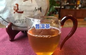 金芽普洱茶推荐哪款好喝-金芽普洱茶推荐哪款好喝一点