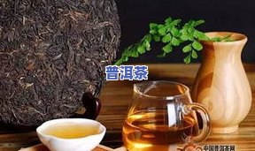 普洱茶做红茶可以吗怎么泡-普洱茶做红茶可以吗怎么泡好喝