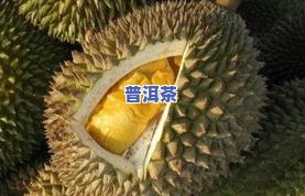 椰子树苞壳包装普洱茶-椰子树苞壳是什么