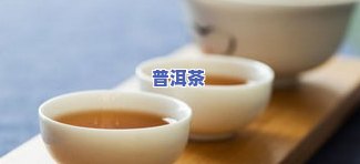 牌子叫老茶客的茶叶有哪些品种和？