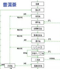 普洱生茶烘焙：方法、工艺与流程全解析