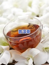 普洱大肚子茶能减肥吗？功效、价格及真实评价一网打尽！瘦客辣妈分享经验。