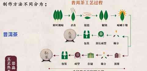 最新普洱茶十大系列价格排名榜及名牌价格表