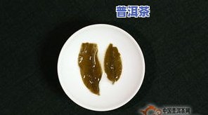 最新普洱茶十大系列价格排名榜及名牌价格表