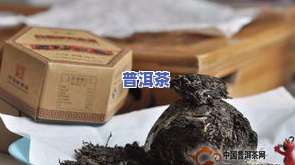 白金普洱茶-铂金普洱茶