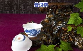 普洱茶制作前怎么存储更好-普洱茶制作前怎么存储更好呢