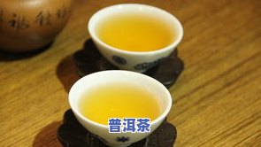 普洱茶存放多久更好喝？生茶与熟茶有何区别？