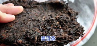 普洱茶存放多久过期？影响口感与安全的关键因素