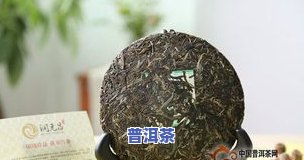 普洱茶的样子：图片展示真实形态