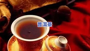 普洱茶大仓-普洱茶大仓库在哪里