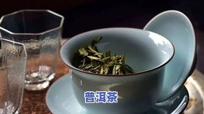 普洱茶如何选择更好喝的茶叶？品种、与选购技巧全解析