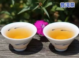 普洱茶杯子多大合适？怎样选择适合的大小？