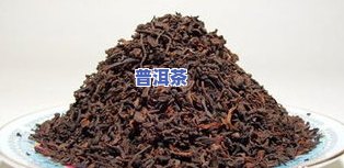 普洱茶大树龄是多少钱一斤？一般多少年？