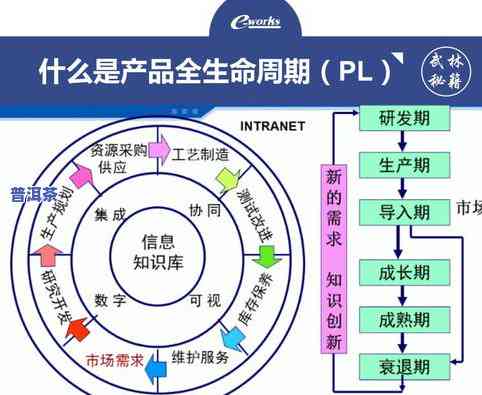 普洱茶种植图片，探索美丽的普洱茶种植：令人惊叹的图片展示