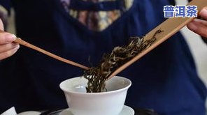 普洱茶摆尾箐200克价格及特点介绍