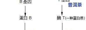 普洱茶涩感形成的起因：探究其重、来源与形成原理