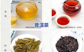 野生普洱茶涩重-普洱生茶涩味重