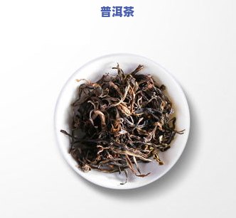 野生普洱茶涩重-普洱生茶涩味重