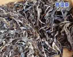 普洱茶窝头状：怎样弄碎难拆的熟茶窝堆？