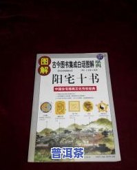 普洱茶纸包装方法详解：步骤、视频与图解全攻略