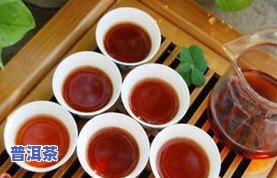 普洱茶陈茶：好坏、冲泡与饮用方法全解析