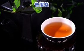 一等茶与三等茶的品质区别及表示方法