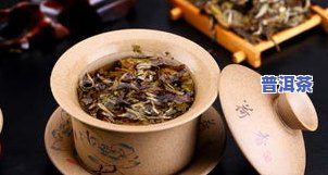 二等茶叶和一等茶叶-二等茶叶和一等茶叶的区别