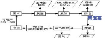 普洱茶生产工艺流程图示图详解及图片大全