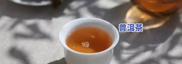 一般茶叶店的普洱茶是什么-一般茶叶店的普洱茶是什么茶