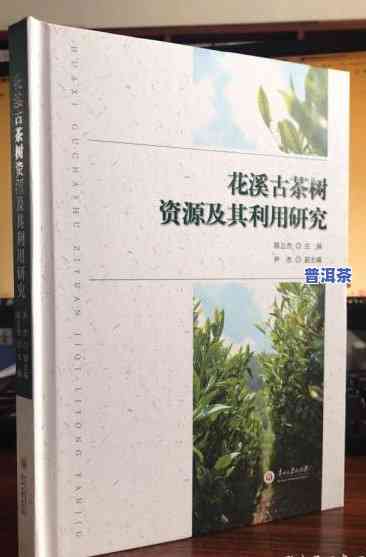 仙仙普洱茶官网价格表：最新产品信息与大观园价格一览