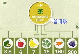 含儿茶素的食物：种类与应用全解析