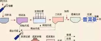 普洱茶的制作方法有几道工序？详解制作工艺流程