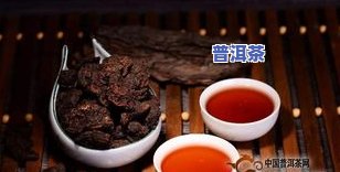 马帮1号普洱茶怎么样-马帮普洱茶什么价钱