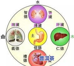 普洱茶五行属土还是木？探讨其属性与性质