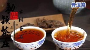 减脂期间是不是适合饮用普洱茶？探讨其对女性的作用