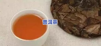 风花雪月茶会：揭秘喜欢的茶品种与好感度提升方法